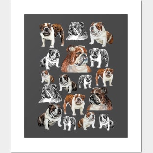 british bulldog Posters and Art